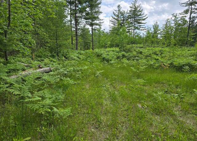 Property at Mcwilliams Lake Rd, Bismarck Township, MI 49743