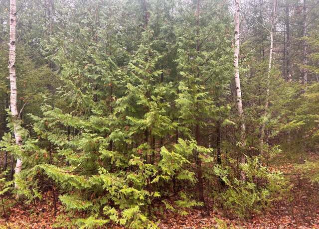 Property at Lot 231 Sunaqua Dr, Presque Isle, MI 49777