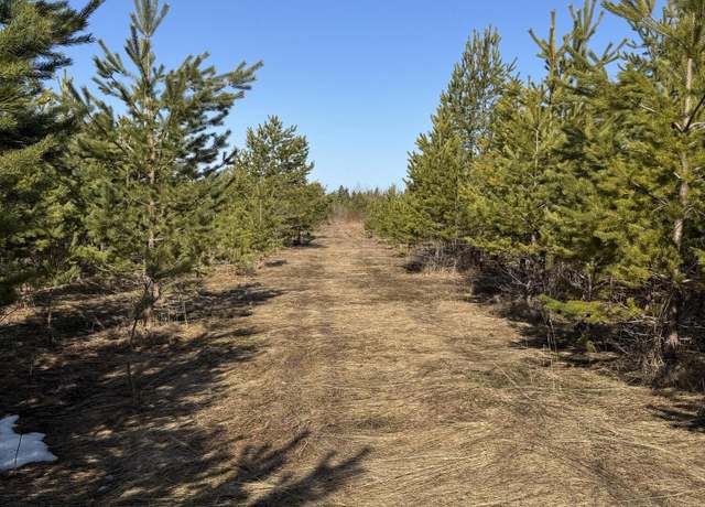 Property at 00 S Mackinac Trl, Sault Ste Marie, MI 49783