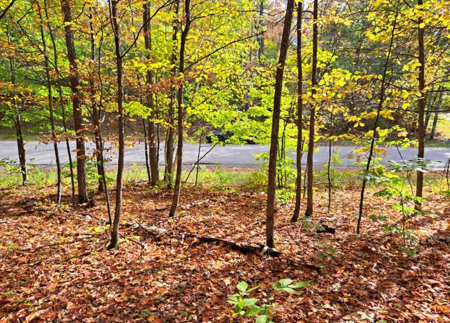 Property at Pheasant Run Lot 1566, Gaylord, MI 49735