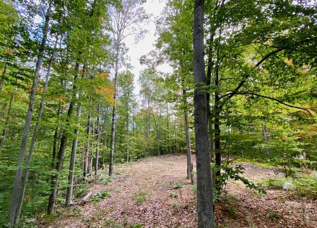 Property at 15100 & 15 Rue Du Chevreuil Lot 74, 75, 76, Wolverine, MI 49799