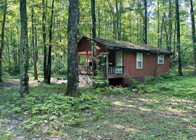 Property at 4983 Blackberry Ln, Elmira, MI 49730