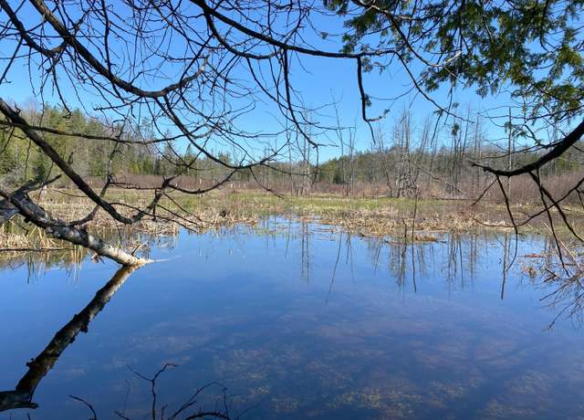 Property at Lot 22 Spikehorn Trl, Indian River, MI 49749