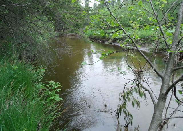 Property at Spikehorn Trl, Indian River, MI 49749