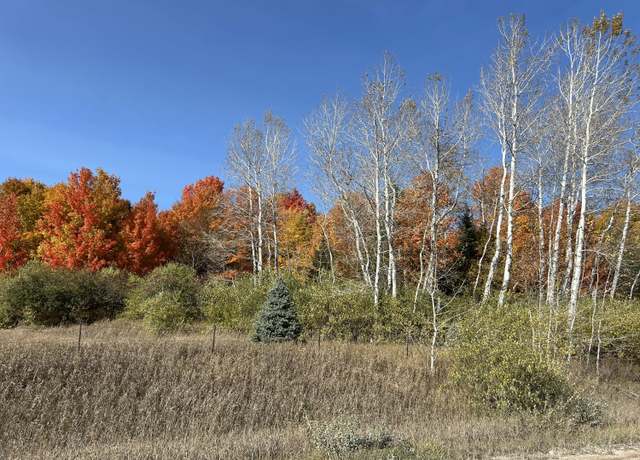 Property at Indian Trail Rd Unit 11.9 Acres, Cheboygan, MI 49721