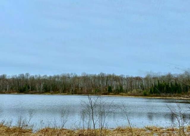 Property at 00 Chippewa Trl, Johannesburg, MI 49751