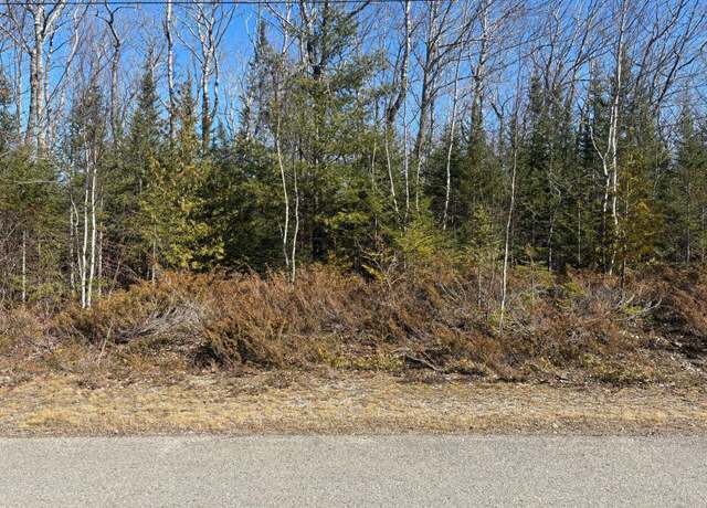 Property at 77 & 78 Renwick Cir, Presque Isle, MI 49777