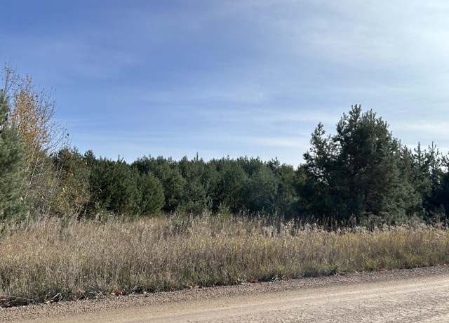 Property at Indian Trail Rd Unit 9.77 Acres, Cheboygan, MI 49721