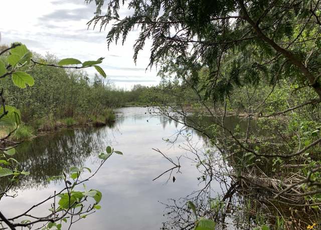 Property at Lot 10 Little Cut Ln, Moran, MI 49760