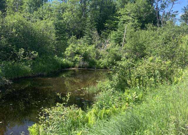 Property at Lot 9 Little Cut Ln, Moran, MI 49760