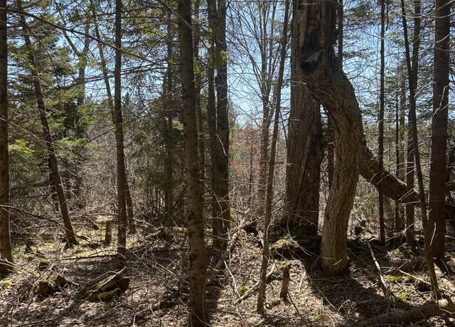 Property at Lot 8 Little Cut Ln, Moran, MI 49760