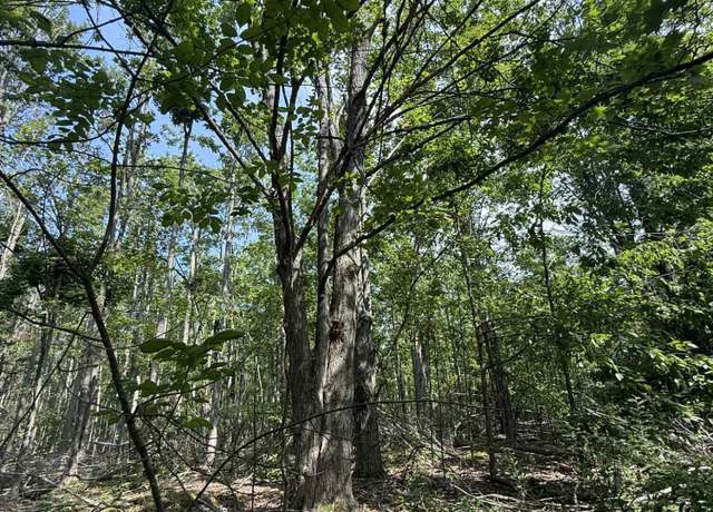 Property at NHN Farrier Rd, Hillman, MI 49746