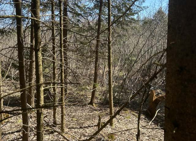 Property at Lot 7 Little Cut Ln, Moran, MI 49760