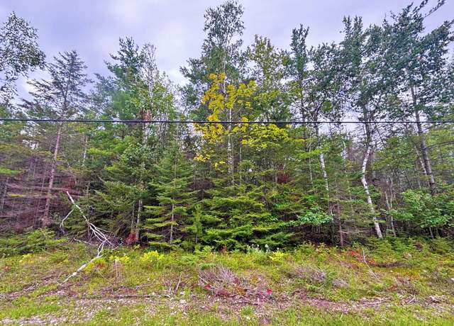 Property at Lot 305 Kauffman Rd, Presque Isle, MI 49777