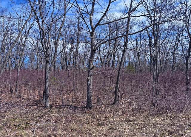 Property at Lot 5 Highland Pines Rd, Presque Isle, MI 49777