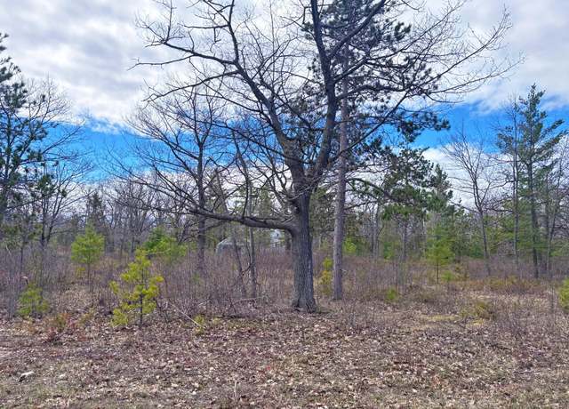 Property at Lot 36 County Rd. 638 Hwy, Presque Isle, MI 49777