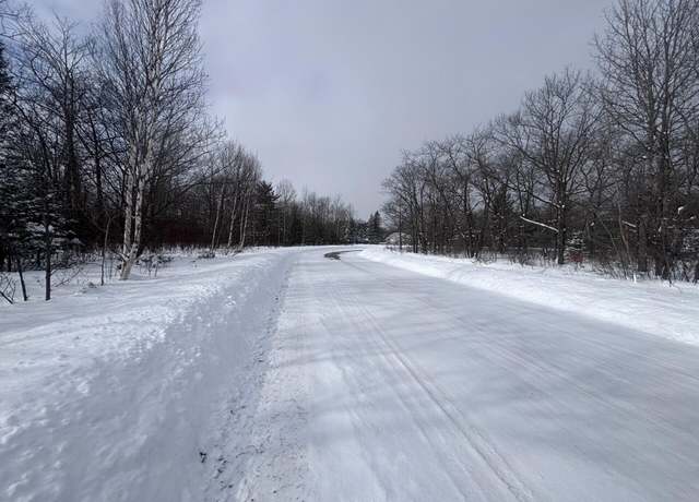 Property at Lot 60 Ponderosa Cir, Presque Isle, MI 49777