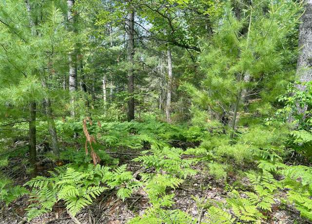 Property at 14560 E Shoreline Dr, Wolverine, MI 49799