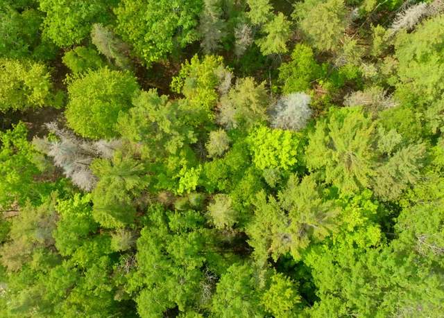 Property at Lot 749 Tamarack Trl, Beaver Island, MI 49782
