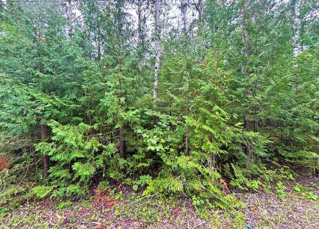 Property at Lot 229 Sunaqua Dr, Presque Isle, MI 49777
