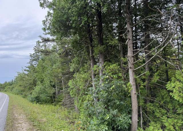 Property at Lot 3 Pte La Barbe Rd, St. Ignace, MI 49781