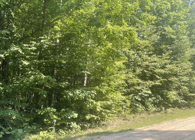 Property at 502 Pinetree Dr, Elmira, MI 49730