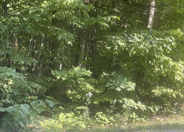 Property at 722 Highland Dr, Elmira, MI 49730