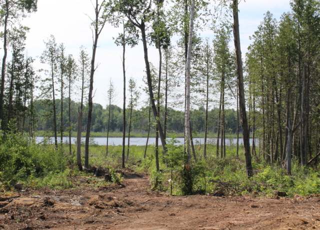 Property at 115 acres Mcgahn, Germfask, MI 49836