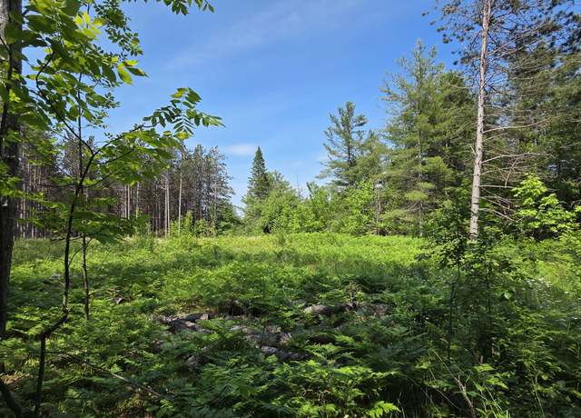 Property at 18862 N Old Mackinaw Rd, Mackinaw City, MI 49701