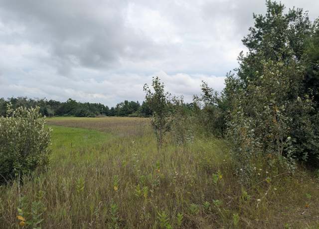 Property at V/L 1AC S River Rd, Cheboygan, MI 49721