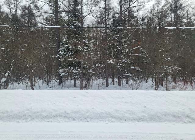 Property at VL Eagle Point Rd, Grayling, MI 49738