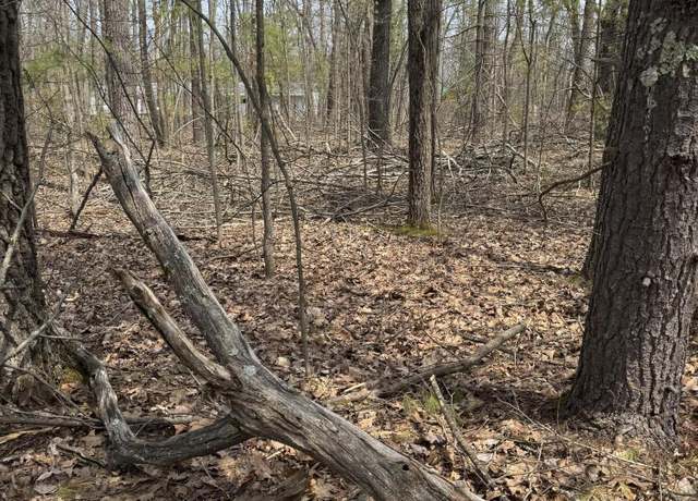 Property at Lot 4 Birch St, Lewiston, MI 49756
