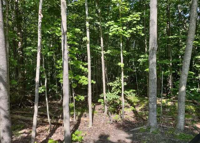 Property at 2668 Coopdeville Ln, Grayling, MI 49738
