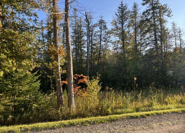 Property at Lot #49 Grace Harbor Rd, Millersburg, MI 49759