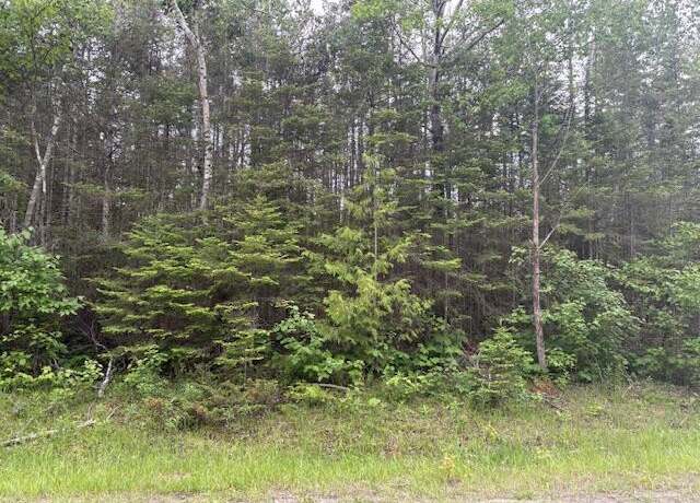 Property at Lot 271 N North Bayshore Dr, Presque Isle, MI 49777