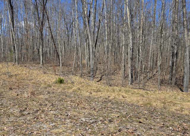 Property at 37, 38, 39 Vera Ln, Roscommon, MI 48653