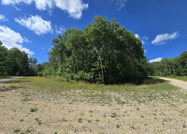 Property at Lot #37-39 Vera Ln, Roscommon, MI 48653