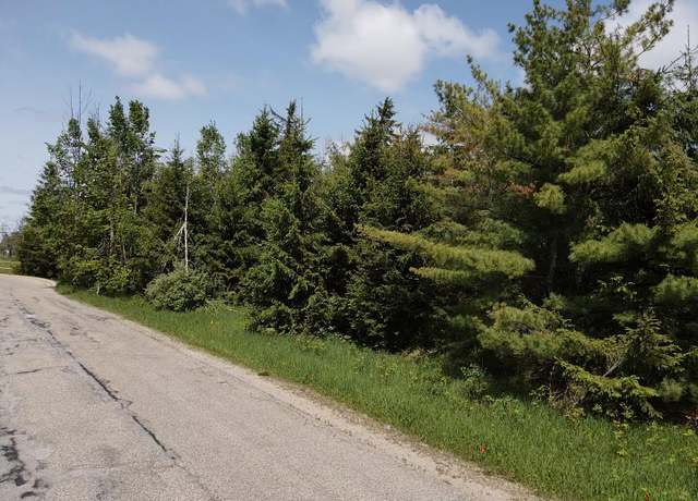 Property at Lot 1 E West Resort Rd, Alanson, MI 49706