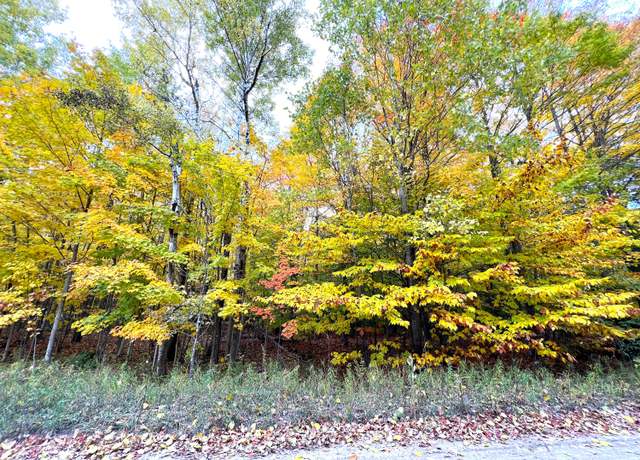 Property at Lot 16 Trout Creek Rd, Cheboygan, MI 49721