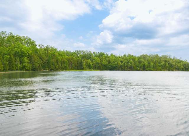 Property at Lot H Forest Dr, Cheboygan, MI 49721
