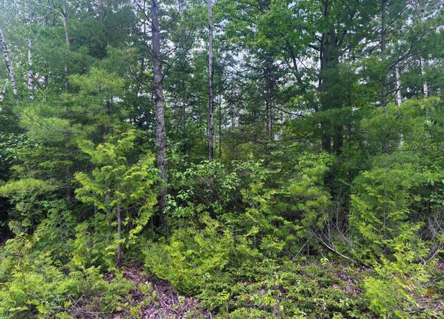 Property at Lot 115 Bonita Dr, Presque Isle, MI 49777