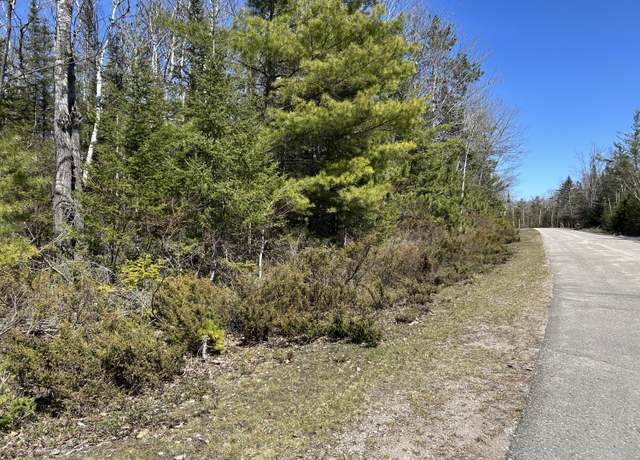 Property at Lots 80&81 Laurelhill Cir, Presque Isle, MI 49777