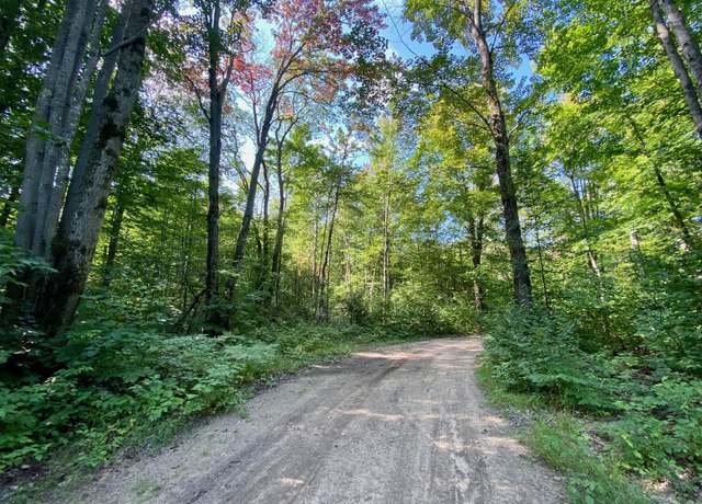 Property at Old Stump Unit 20 acres, Gaylord, MI 49735