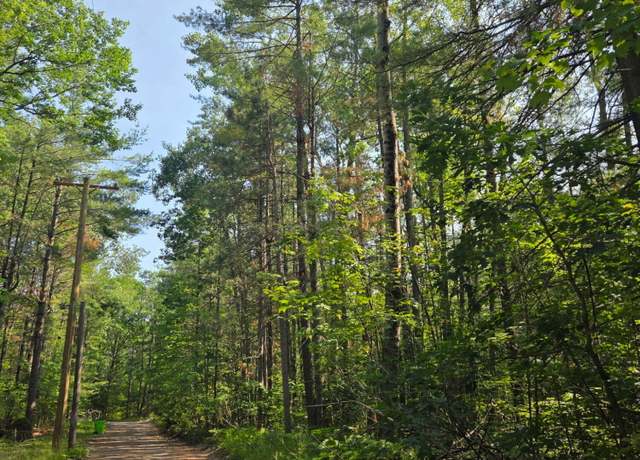 Property at Lot #53 Newell Ave, Topinabee, MI 49791