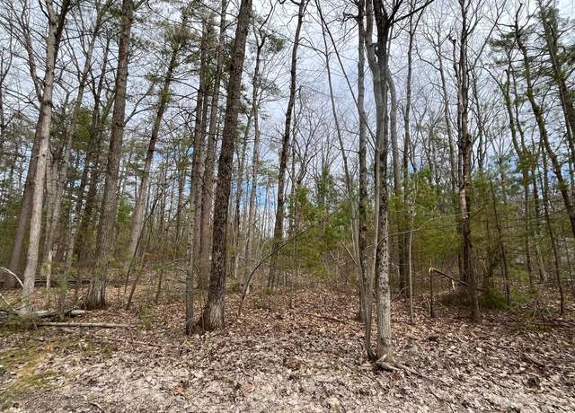 Property at Chippewa Beach Rd, Indian River, MI 49749