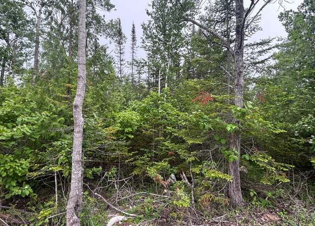 Property at Lot 133 Laurel Hill Cir, Presque Isle, MI 49777