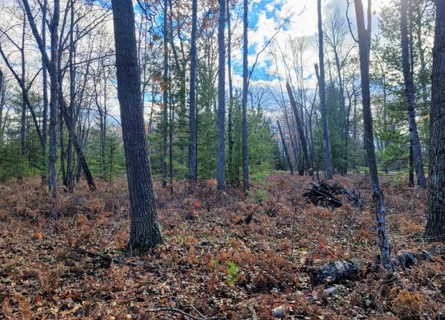 Property at Lot # 8 Co Rd 646, Rogers City, MI 49779