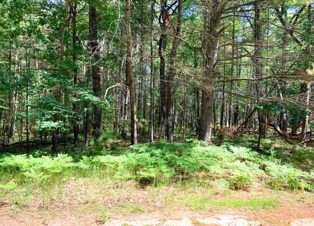 Property at Lot 23 W Nestel Rd, Prudenville, MI 48651