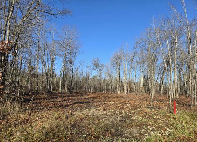 Property at 5850 Bear Lake Rd, Johannesburg, MI 49751