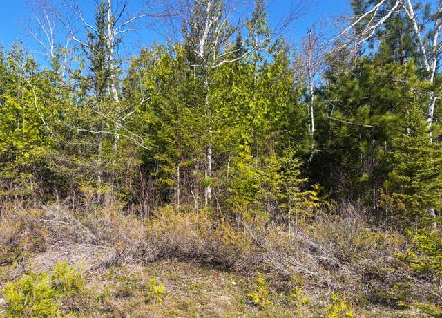 Property at Pineview Dr, Presque Isle, MI 49777